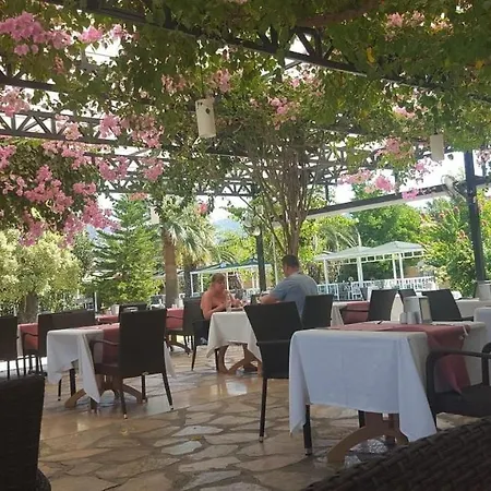 كلوب آلا توركا